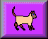 Image Name
